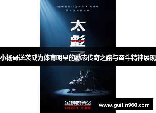 小杨哥逆袭成为体育明星的励志传奇之路与奋斗精神展现