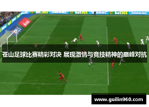 苍山足球比赛精彩对决 展现激情与竞技精神的巅峰对抗