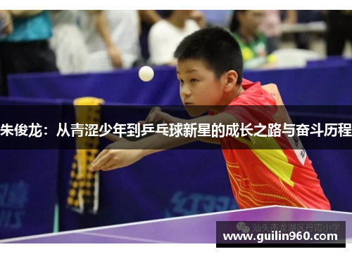 朱俊龙：从青涩少年到乒乓球新星的成长之路与奋斗历程